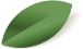 A green small leaf